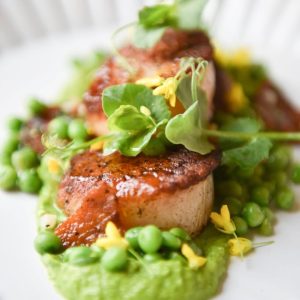Salmón con puré de arvejas. Catering comida